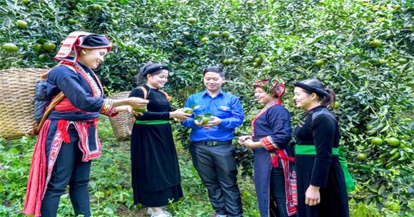 Tuyên Quang Đẩy nhanh tiến độ thực hiện Chương trình MTQG phát triển KT-XH vùng đồng bào DTTS MN