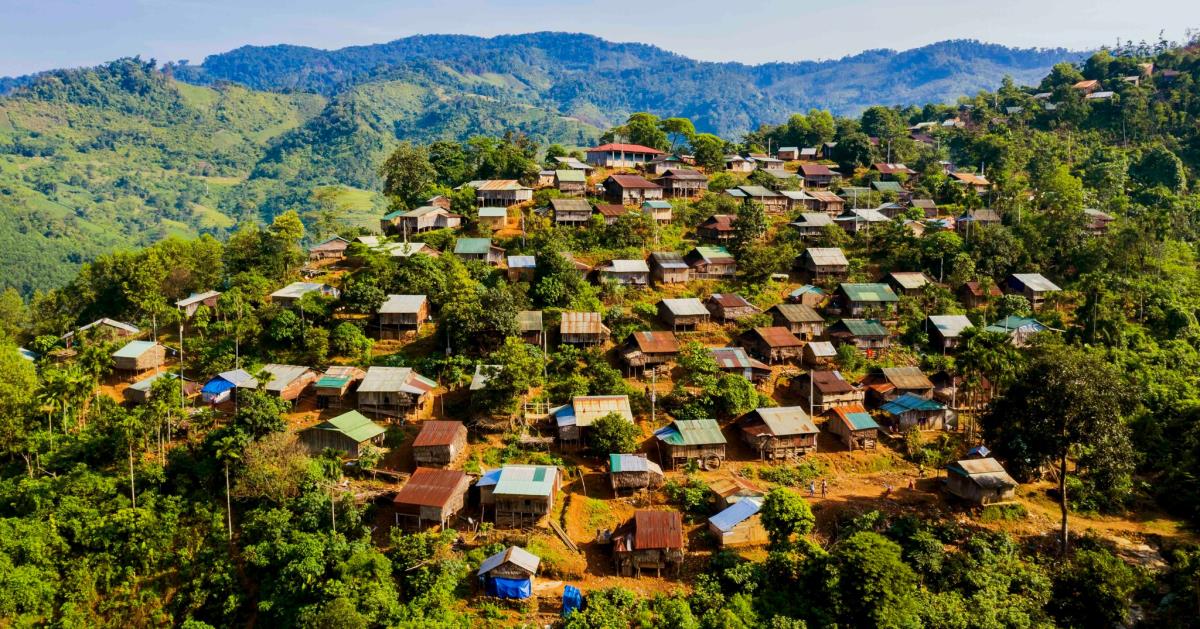 Phát triển kinh tế lâm nghiệp gắn với bảo vệ rừng vùng DTTS MN