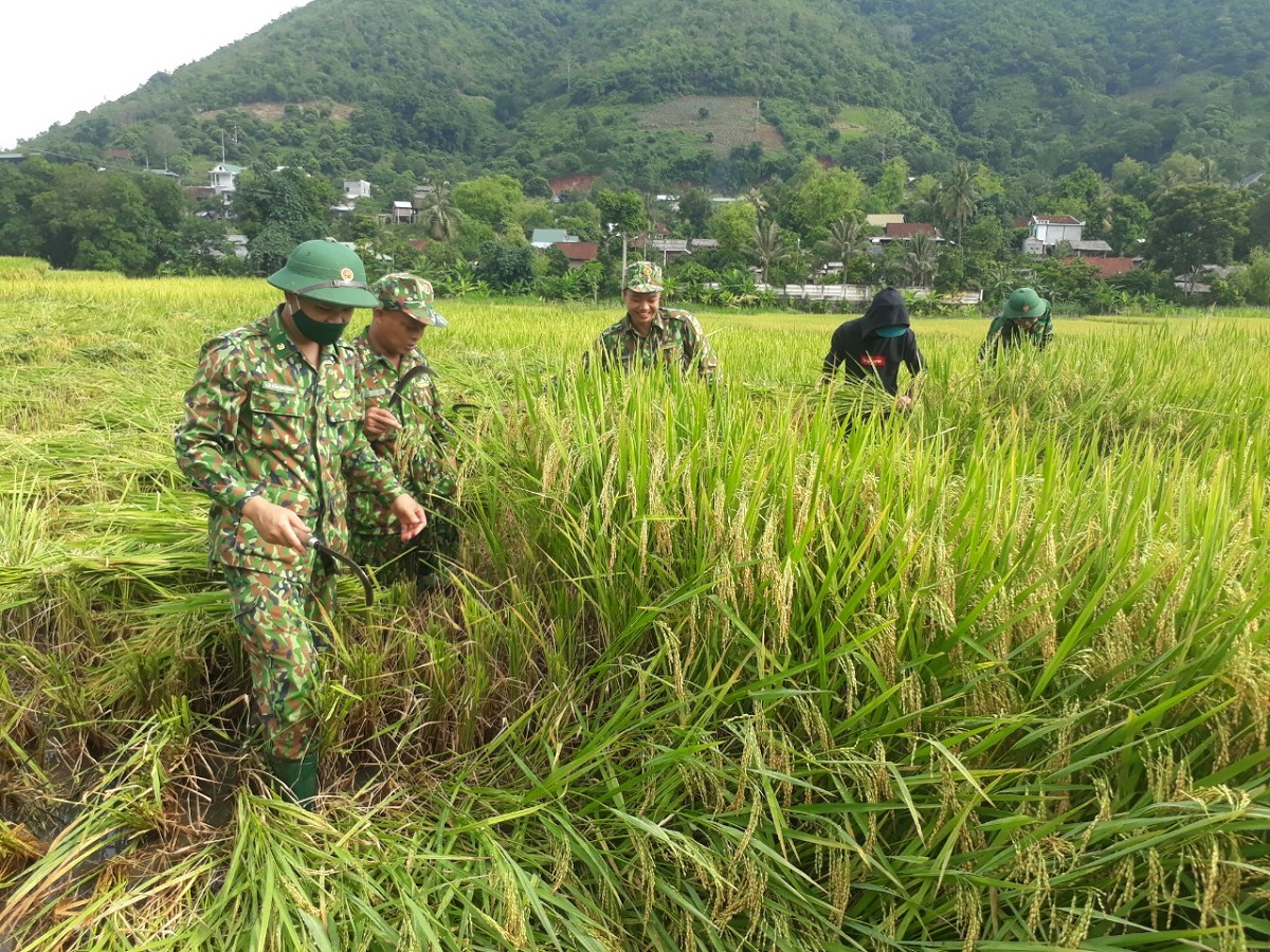 Mương nước hữu nghị kết nối tình Việt – Lào anh em