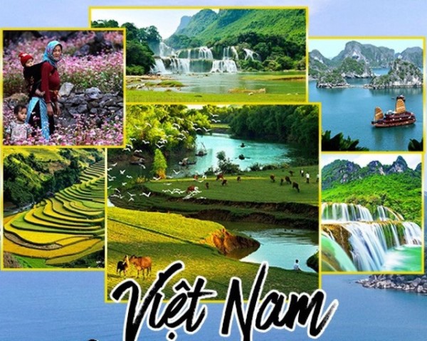 Bài 3 Đáp ứng các yêu cầu xuất nhập khẩu bền vững, hiệu quả
