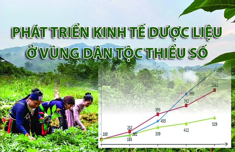 Phát triển kinh tế dược liệu ở vùng dân tộc thiểu số và miền núi