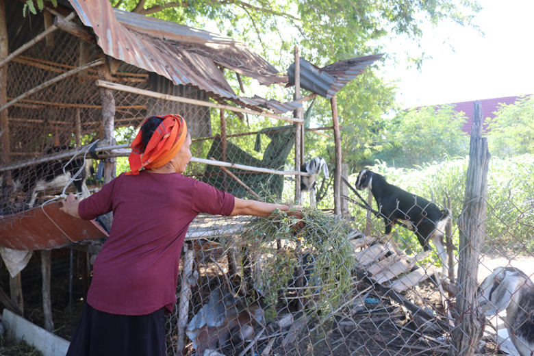 Ninh Thuận Một số chỉ tiêu phát triển kinh tế - xã hội đạt kết quả khá