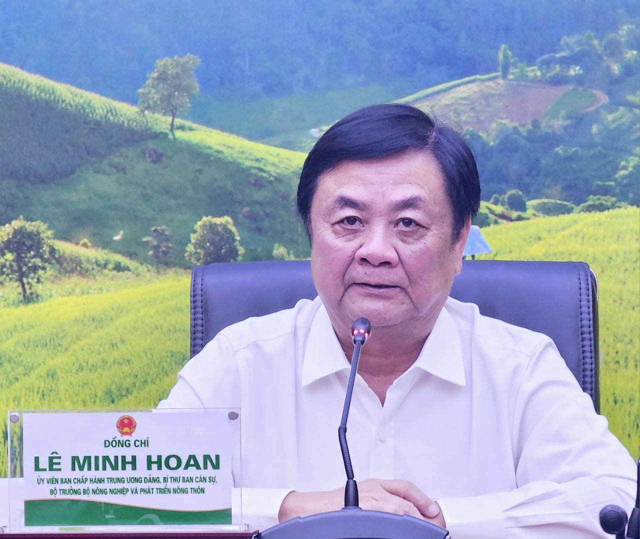 Để phát triển bền vững ngành hàng sầu riêng