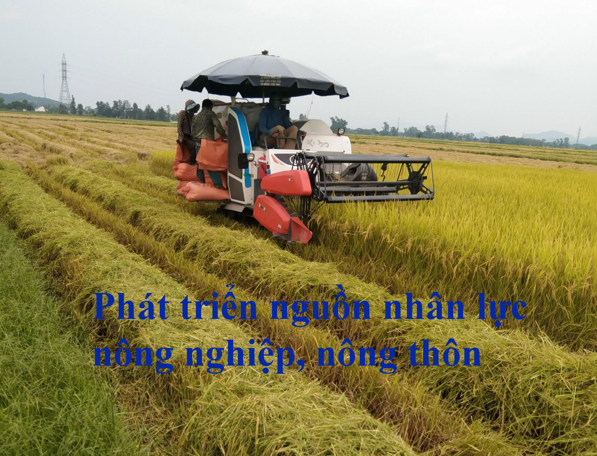 Bài 3 Mở rộng ngành học để thu hút tuyển sinh đào tạo về nông nghiệp