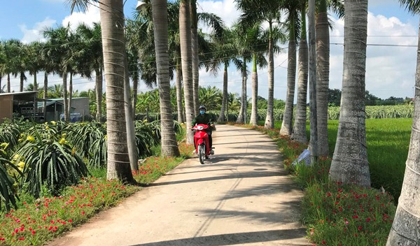 Long An Diện mạo nông thôn mới ngày càng khởi sắc