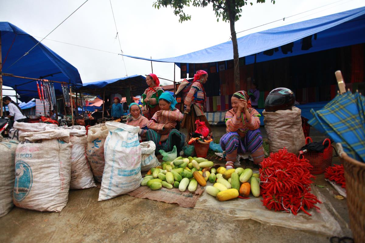 Phân bổ ngân sách thực hiện mục tiêu phát triển vùng đồng bào dân tộc thiểu số