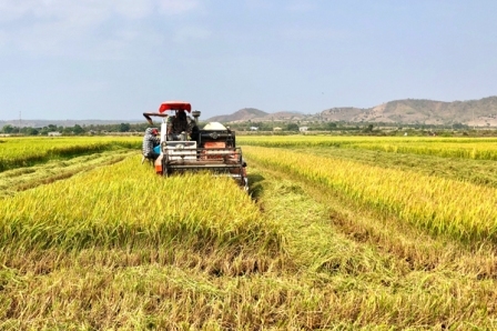 Đẩy mạnh ứng dụng khoa học công nghệ trong phát triển tam nông