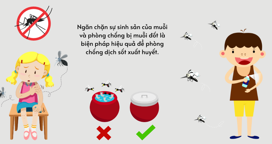 Số ca mắc sốt xuất huyết ở Sóc Trăng tăng gấp đôi so với cùng kỳ