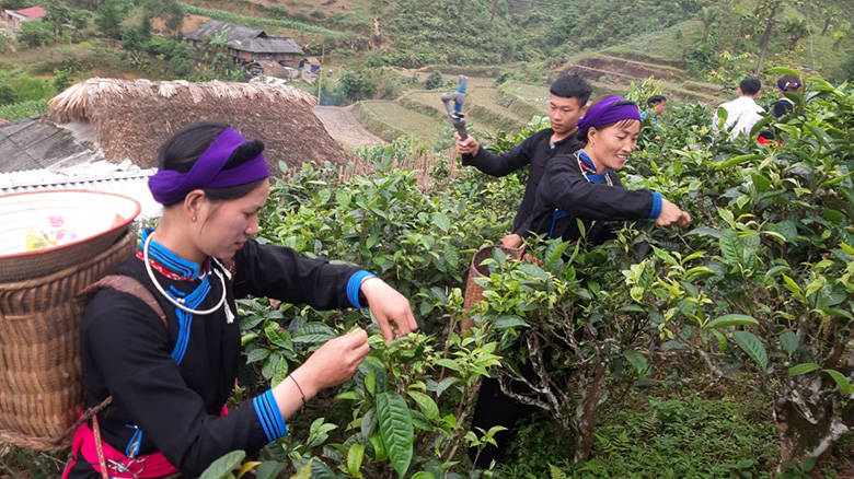 Các bộ, ngành tích cực tham gia chỉ đạo thực hiện chính sách dân tộc