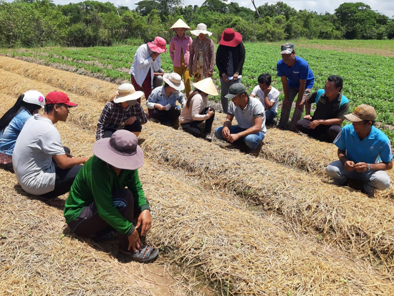 Lao động dân tộc thiểu số được quan tâm đào tạo nghề, giải quyết việc làm