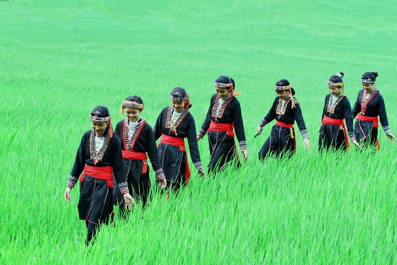 Sắc thu Hương cốm Tây Bắc