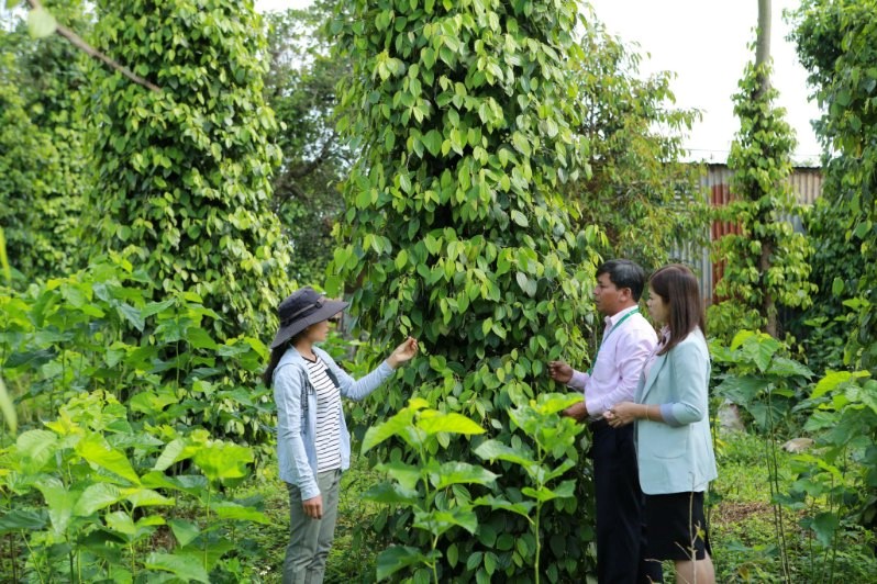 Đắk Nông triển khai hiệu quả tín dụng chính sách xã hội