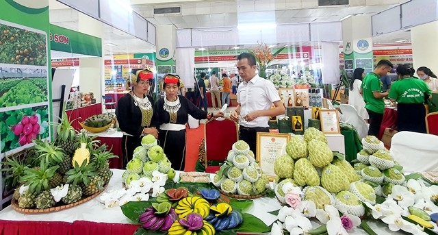 Tạo động lực phát triển thị trường sản phẩm vùng dân tộc thiểu số và miền núi