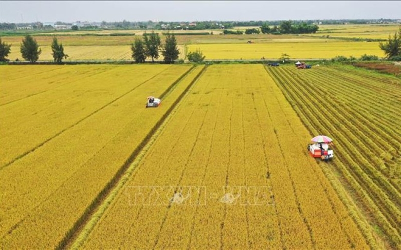Thúc đẩy triển khai chương trình chuyển đổi số trong xây dựng nông thôn mới