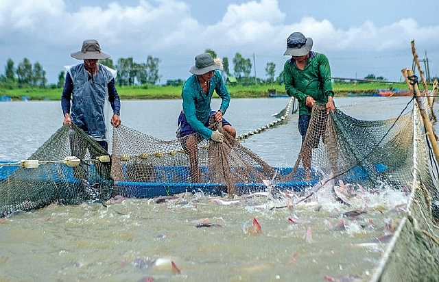 Quyết định về hỗ trợ hóa chất phòng, chống dịch bệnh thủy sản