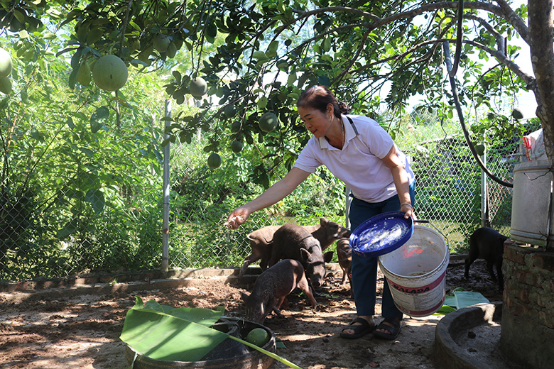Hà Nội Khó hoàn thành chỉ tiêu thu nhập bình quân của người DTTS đến năm 2025