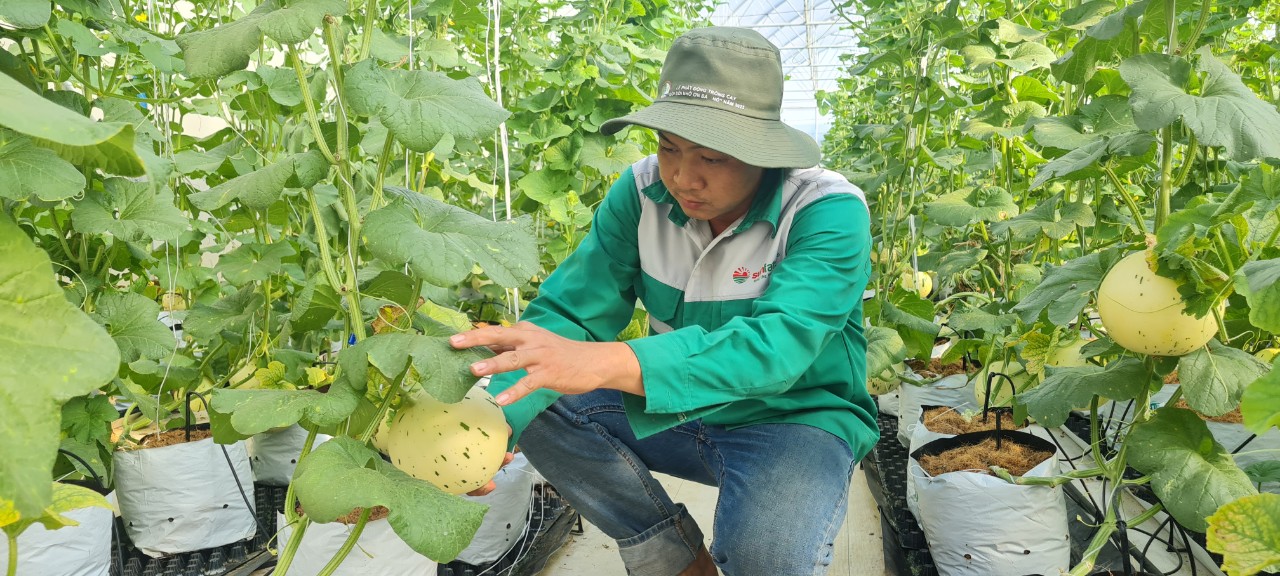 Bình Phước 28 ngàn tỷ đồng thu hút đầu tư nông nghiệp công nghệ cao