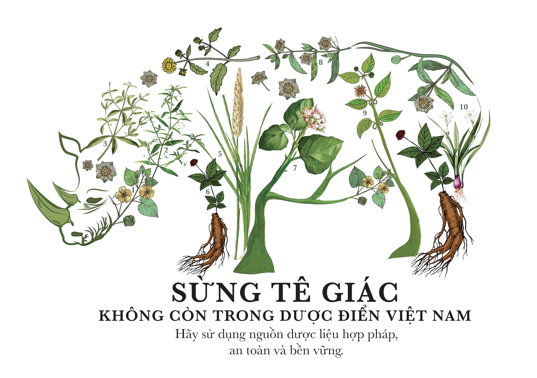 Giảm cầu tiêu thụ sản phẩm từ động vật hoang dã bằng hướng truyền thông mới