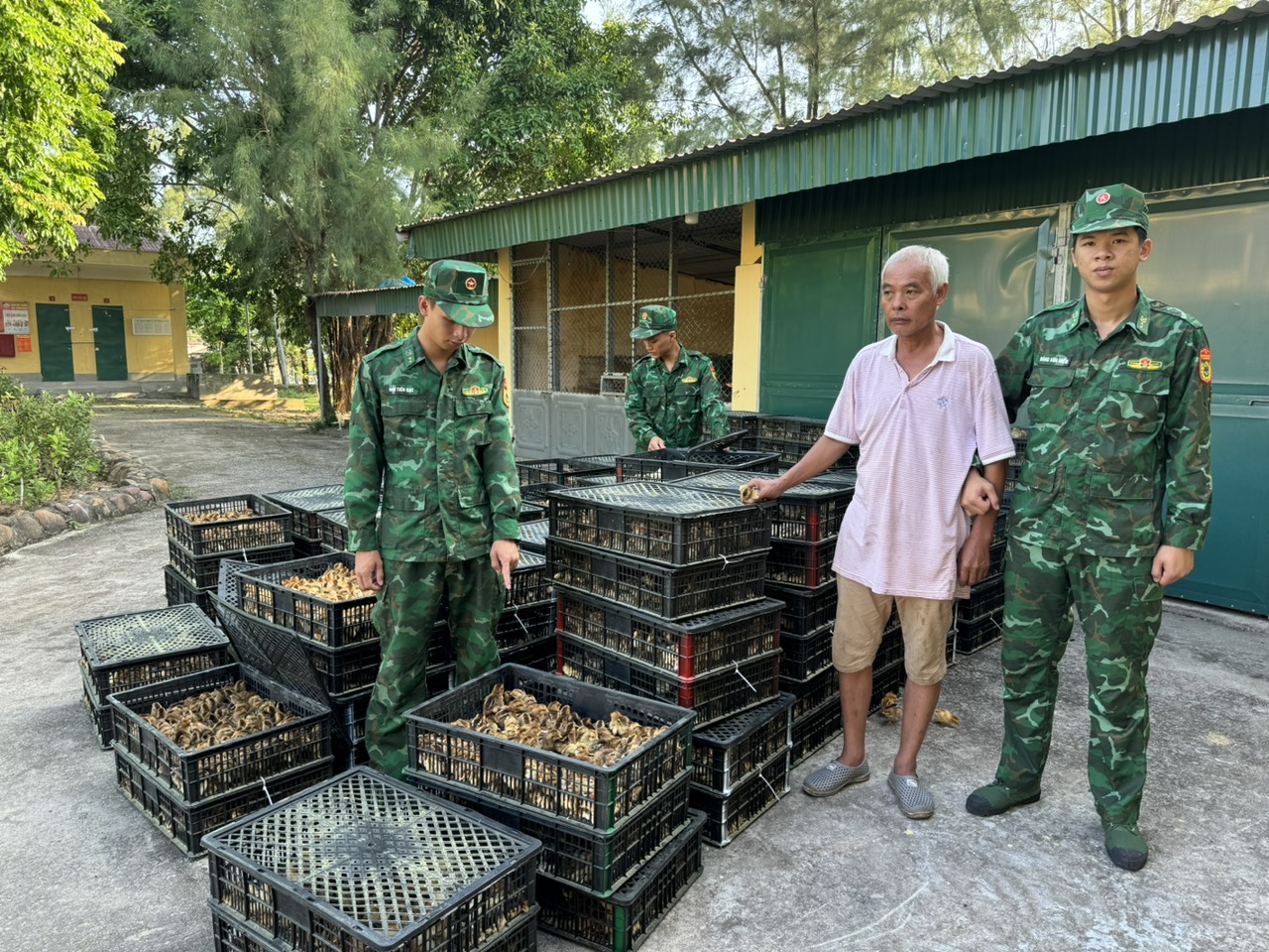 Đồn Biên phòng Trà Cổ Bắt giữ nhiều vụ vi phạm trên biển