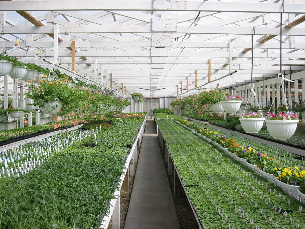 Bình Dương thúc đẩy chuyển đổi số vào lĩnh vực nông nghiệp