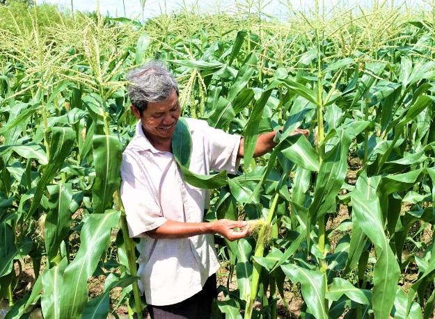 Tỉnh Cà Mau gặp nhiều khó khăn trong giải ngân vốn chương trình mục tiêu quốc gia
