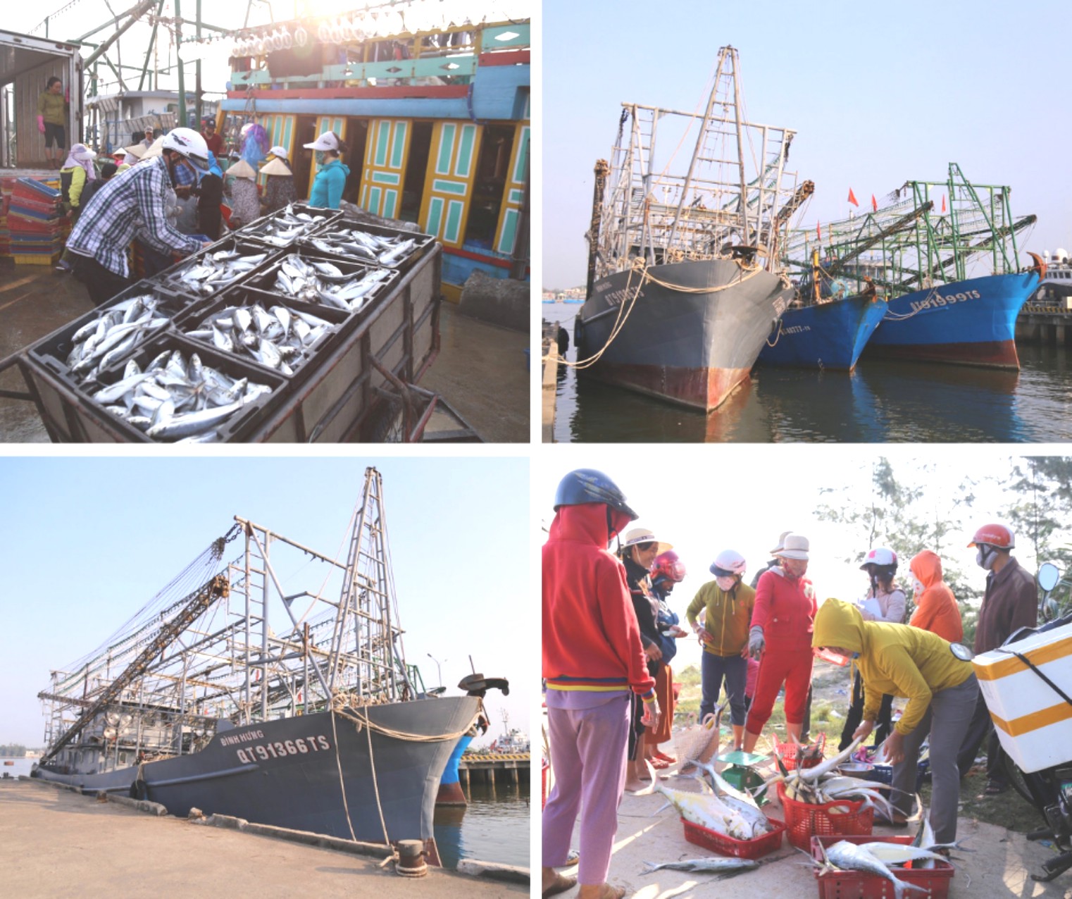 Quảng Trị hiện thực hoá khát vọng giàu lên từ biển