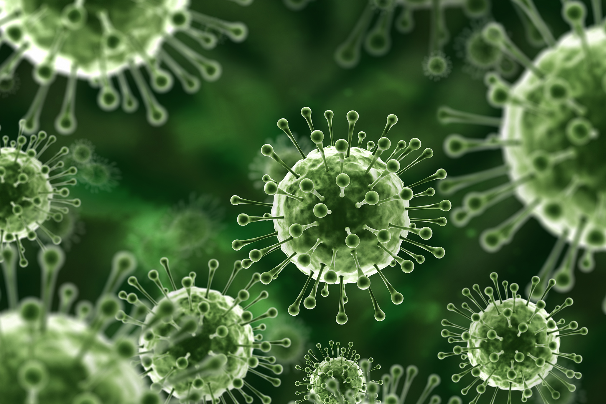 Đắk Nông chủ động phòng, chống bệnh do vi rút Nipah trên địa bàn tỉnh