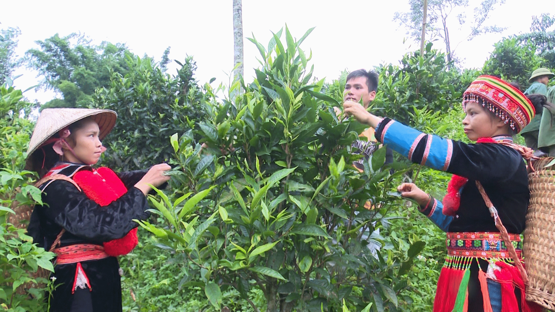 Người có uy tín huyện Ba Bể góp phần xây dựng quê hương