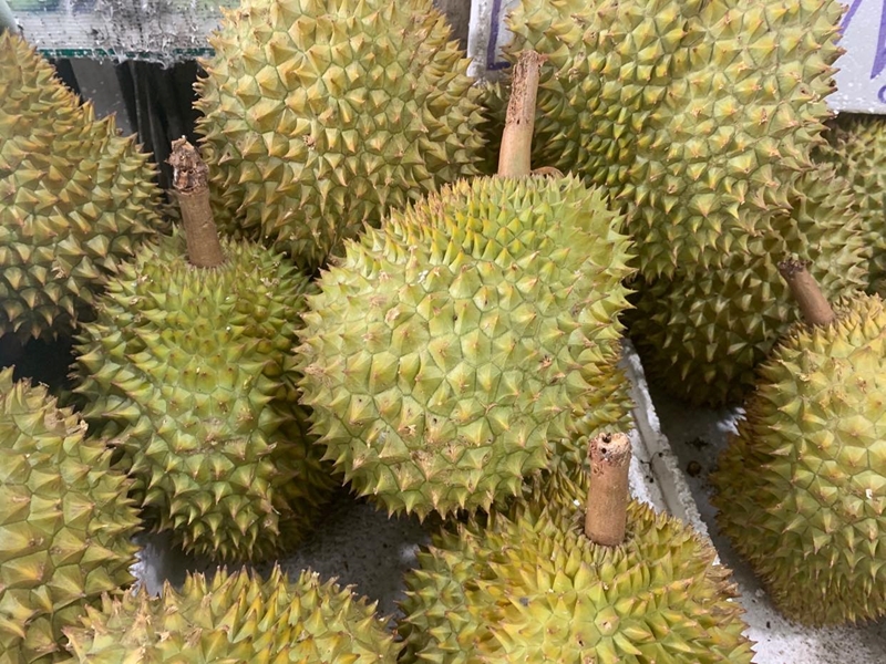 Để sầu riêng Việt Nam ngày càng đi xa hơn