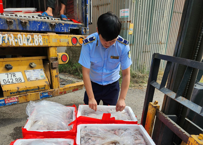 Thanh Hóa Phát hiện trên 4,5 tấn cá khoai dương tính với chất foocmon