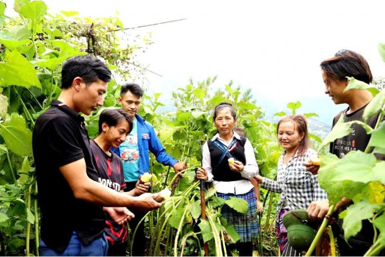 Chuyện về một Bí thư chi bộ giỏi