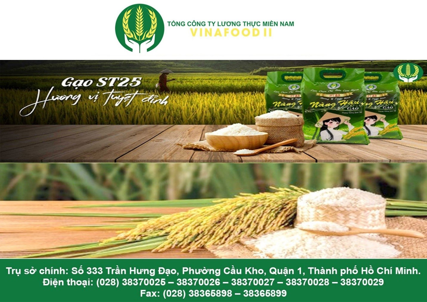 Tổng công ty Lương thực miền Nam – Công ty cổ phần VINAFOOD II