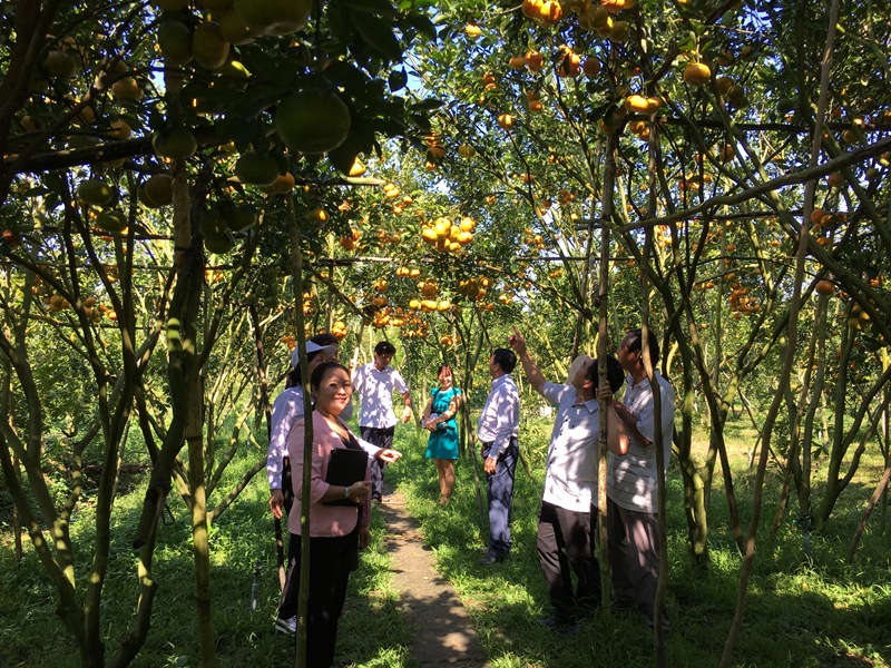 Đồng Tháp Sản phẩm OCOP đứng đầu khu vực Đồng bằng sông Cửu Long