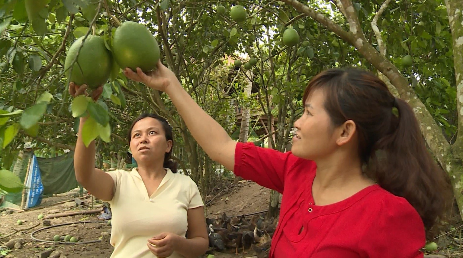 Xã Trung Chải Nỗ lực thực hiện công tác giảm nghèo bền vững