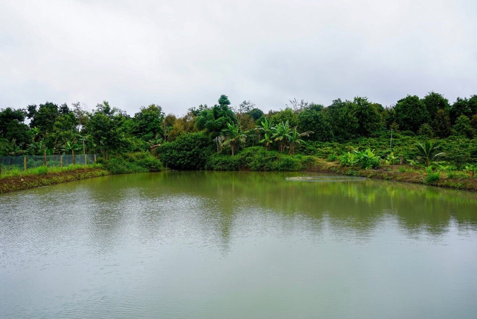 70 ao chống hạn, giúp người dân miền Trung – Tây Nguyên ứng phó mùa khô