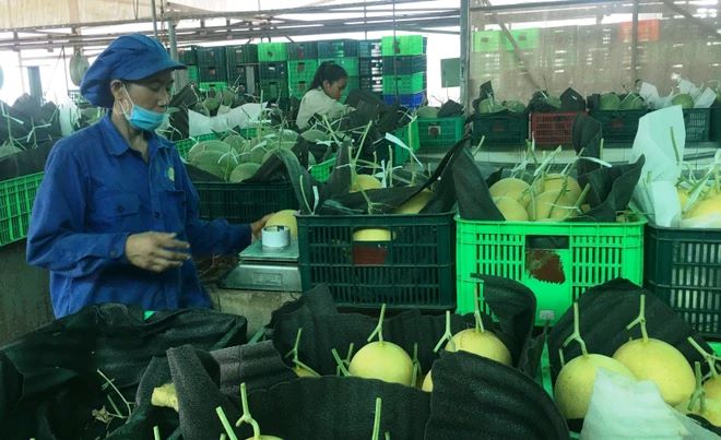 Bình Dương Tăng cường quảng bá, phát triển thương hiệu sản phẩm OCOP