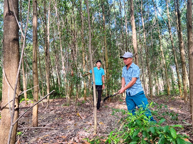 Hiệu quả từ chính sách ưu đãi theo Nghị quyết 181 và 11 của Chính phủ tại Quảng Bình