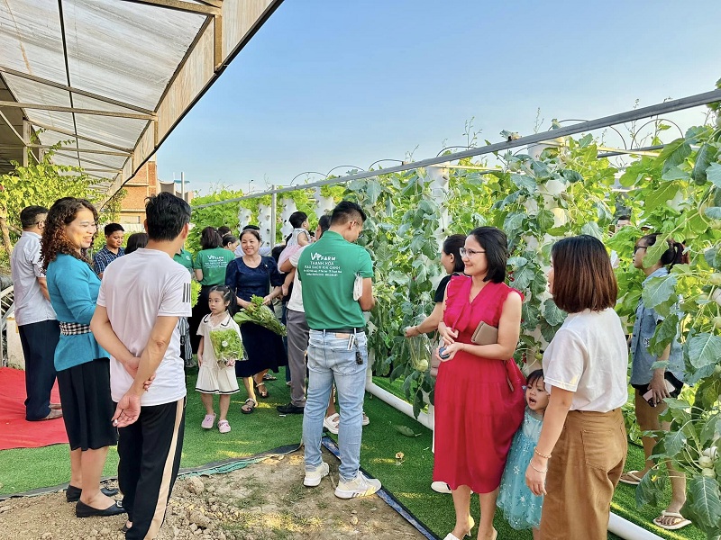 Mô hình rau khí canh đầu tiên tại Thành phố Thanh Hóa