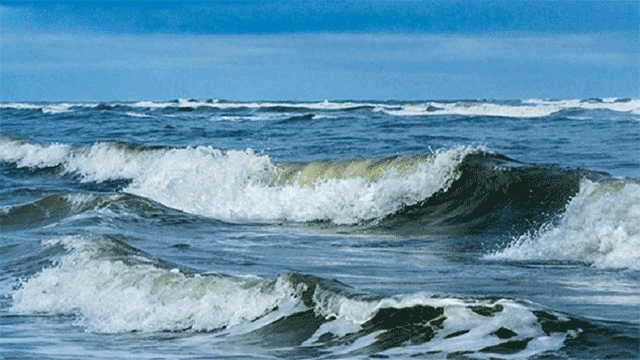 Dự báo thời tiết biển ngày và đêm 28 11 2023