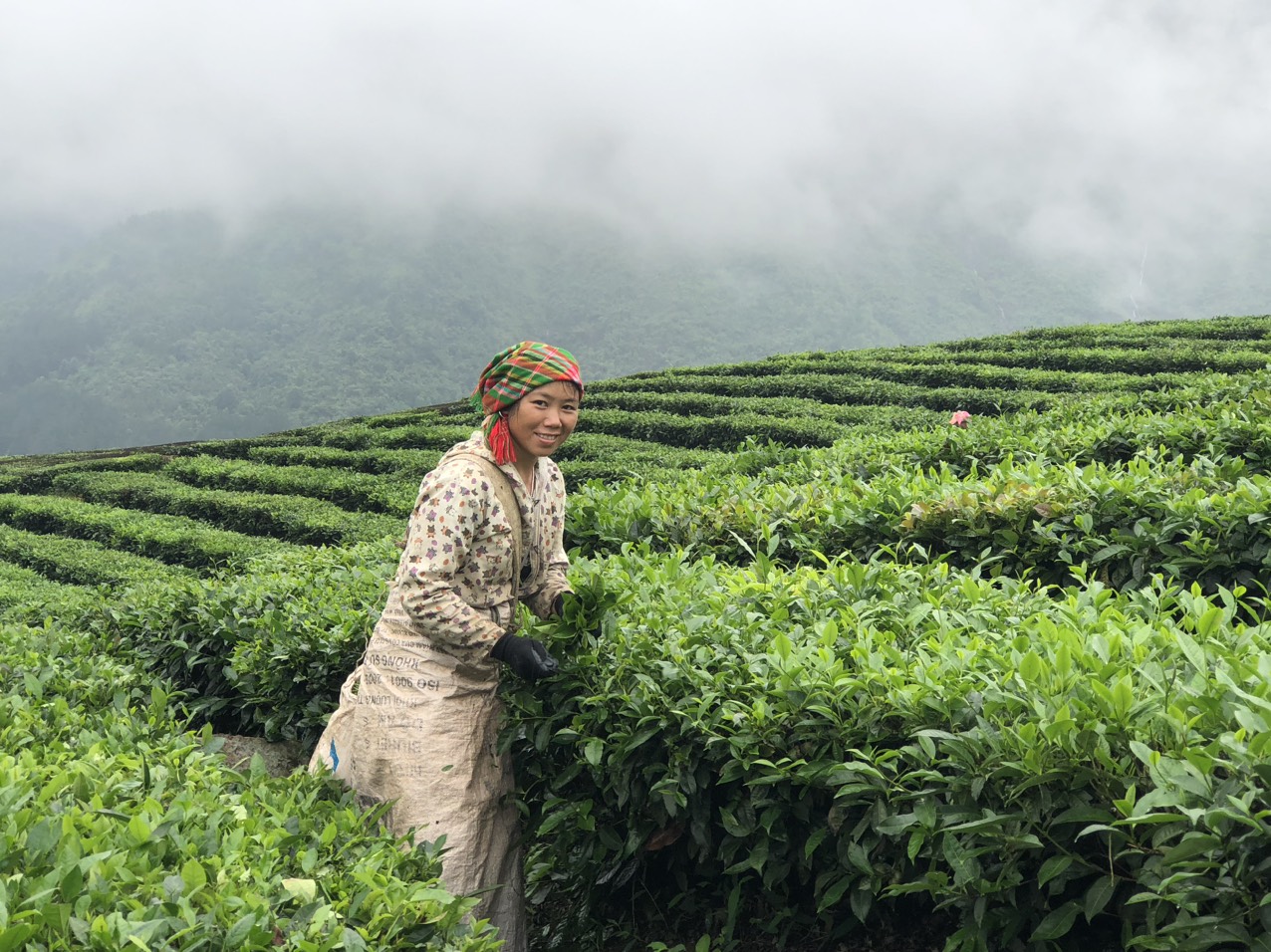 Vấn đề giới trong việc làm của người dân tộc thiểu số