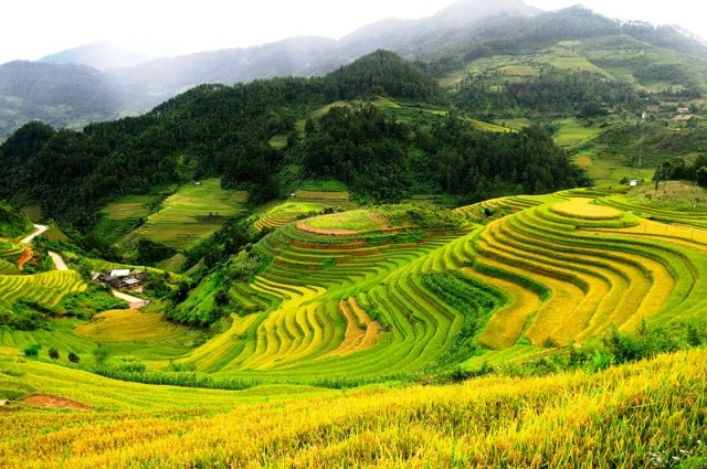 Kế hoạch thẩm định Hồ sơ Quy hoạch vùng Trung du và miền núi phía Bắc thời kỳ 2021 - 2030