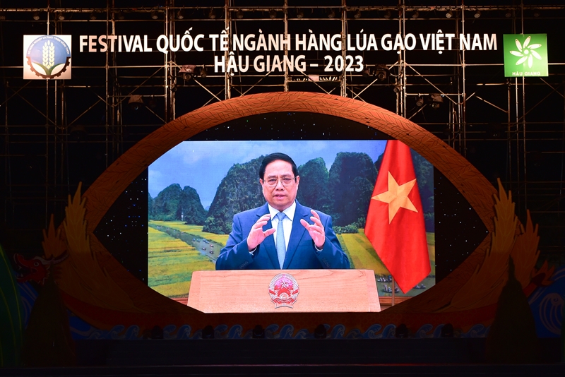 Thúc đẩy thương mại lúa gạo quốc gia