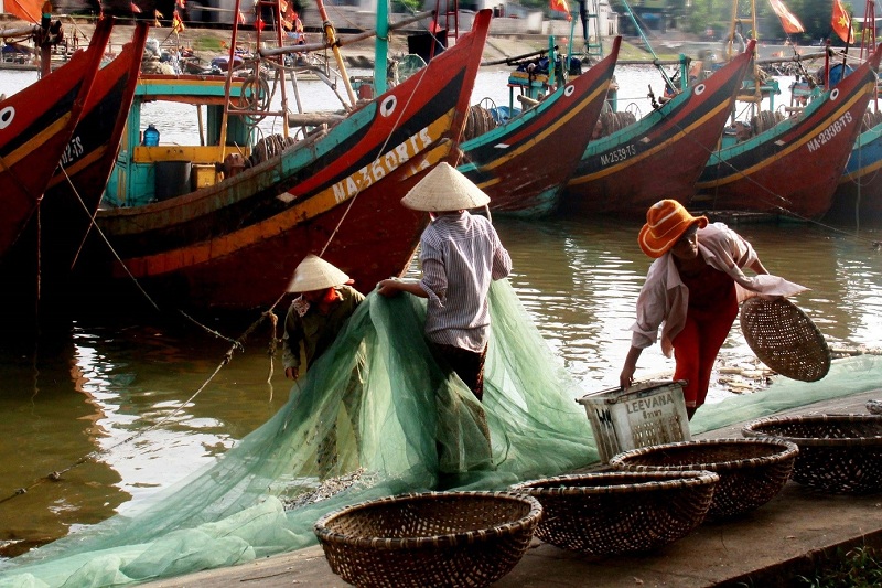 Diễn Châu - Điểm sáng trong phát triển kinh tế - xã hội tỉnh Nghệ An