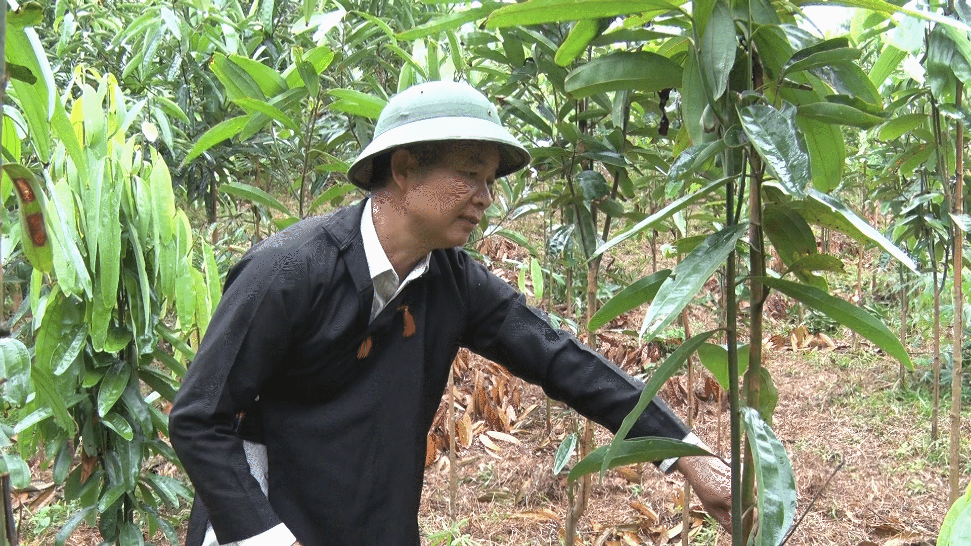 Người có uy tín gương mẫu, đi đầu trong xây dựng bản, làng