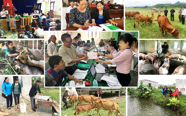Quảng Bình Tín dụng chính sách đồng hành cùng người dân phát triển kinh tế
