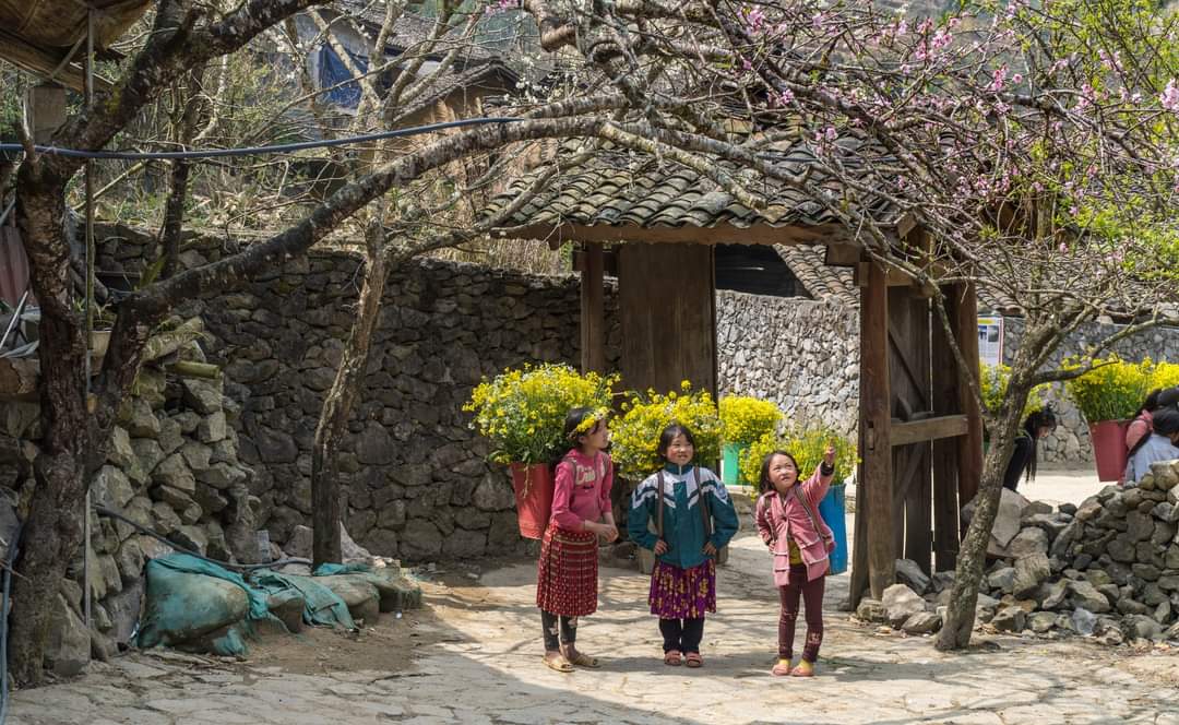 Dự báo thời tiết trên đất liền ngày và đêm 15 12 2023