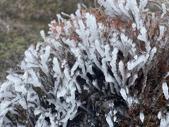 Dự báo, cảnh báo xu hướng thời tiết từ 16 đến 26 12 2023