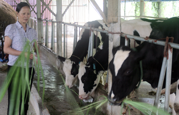 Chuyển đổi số góp phần xóa đói giảm nghèo hiệu quả