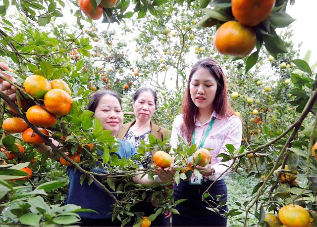 Cán bộ tín dụng chính sách “cửa ngõ” vùng Tây Bắc chuyển tải nguồn vốn ưu đãi đúng, đủ và trúng