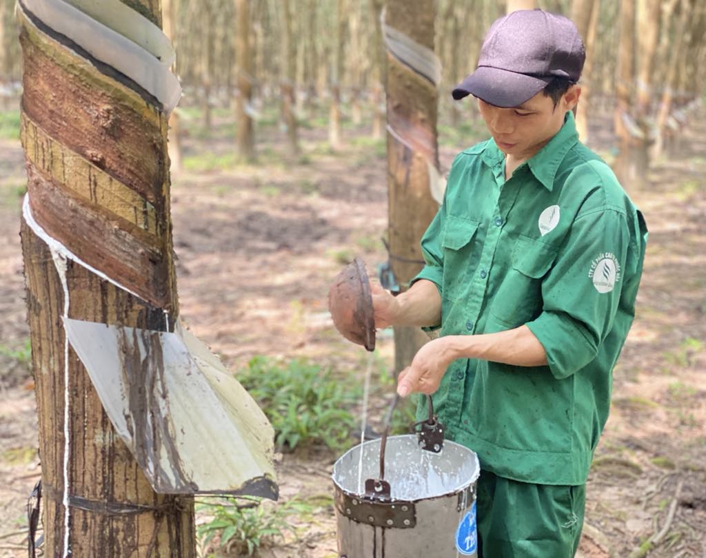 Bài cuối Chủ động thích ứng thực tiễn, hoàn thành cao nhất các mục tiêu đề ra